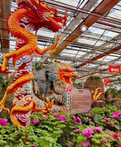 內蒙古通遼和佑首屆農(nóng)業(yè)嘉年華